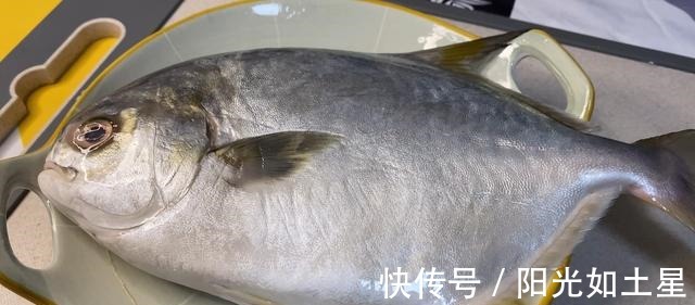 鲳鱼不会烧20年厨师教你做，鲜甜味美，简单还易学！