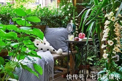 闲人|这样的阳台,那院子我也不换,美得太过分,今生只做个闲人了!