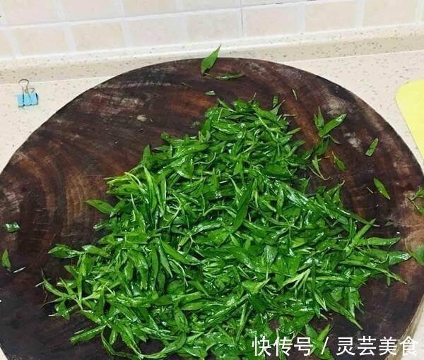 适应能力|三伏天,这野菜随处可见,清热解毒,可惜很多人把它当草!