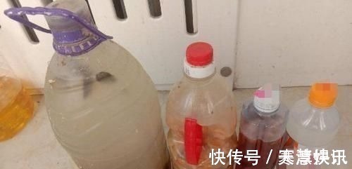 土壤|家庭常备的小苏打:这么养花,好处多多,现在知道也不晚!