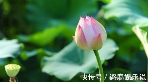 吃苦&做人贵在明理,弄明了这样三个道理,就是明白人