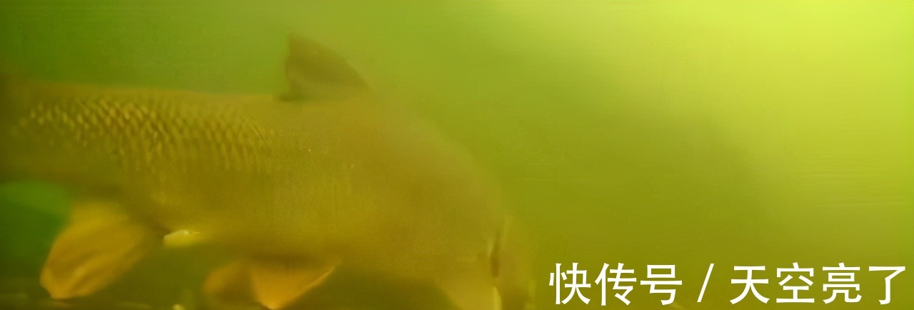 子线|提醒:规避小杂鱼闹窝的一种错误方法,很多钓友都在用