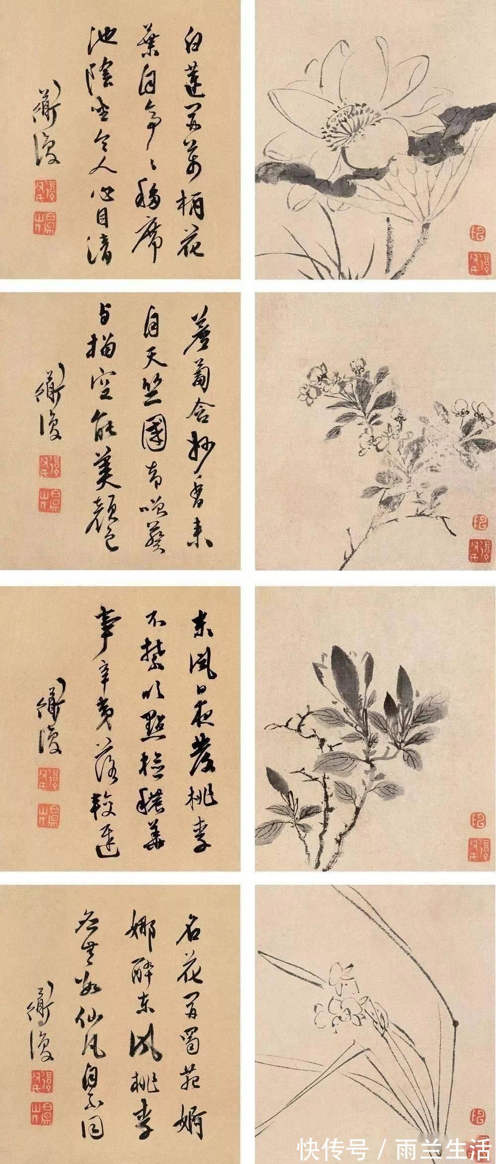 陈淳@与徐渭齐名,这个富二代的一花一世界!