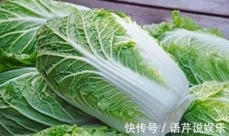 大白菜|大白菜是癌症预防之王,但是记住不要和下面的食物一起吃