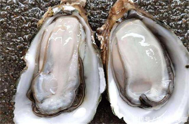 调味品|蚝油别“瞎用”,事关家人身体健康,牢记“3不要”