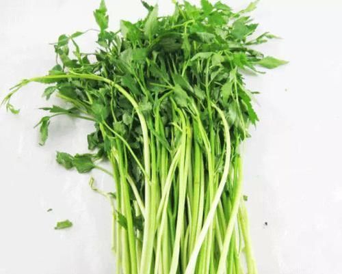 青苹果|女性不愿老太快,要经常吃几种食物,美容养生,好处多多