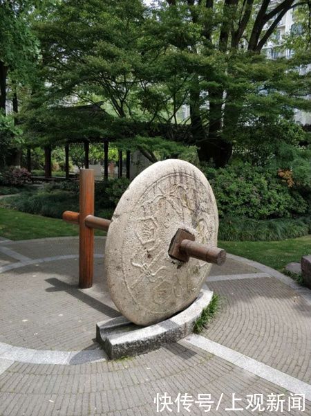 错过|快来一起赏“梅”景！去年没约成，今年别错过啦