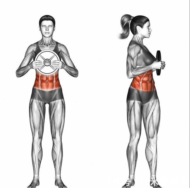 杠铃片|如何快速练出腹肌?每天坚持做4个动作,你也能拥有巧克力腹肌