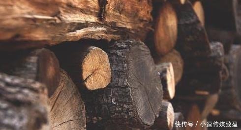 家具木材种类排名