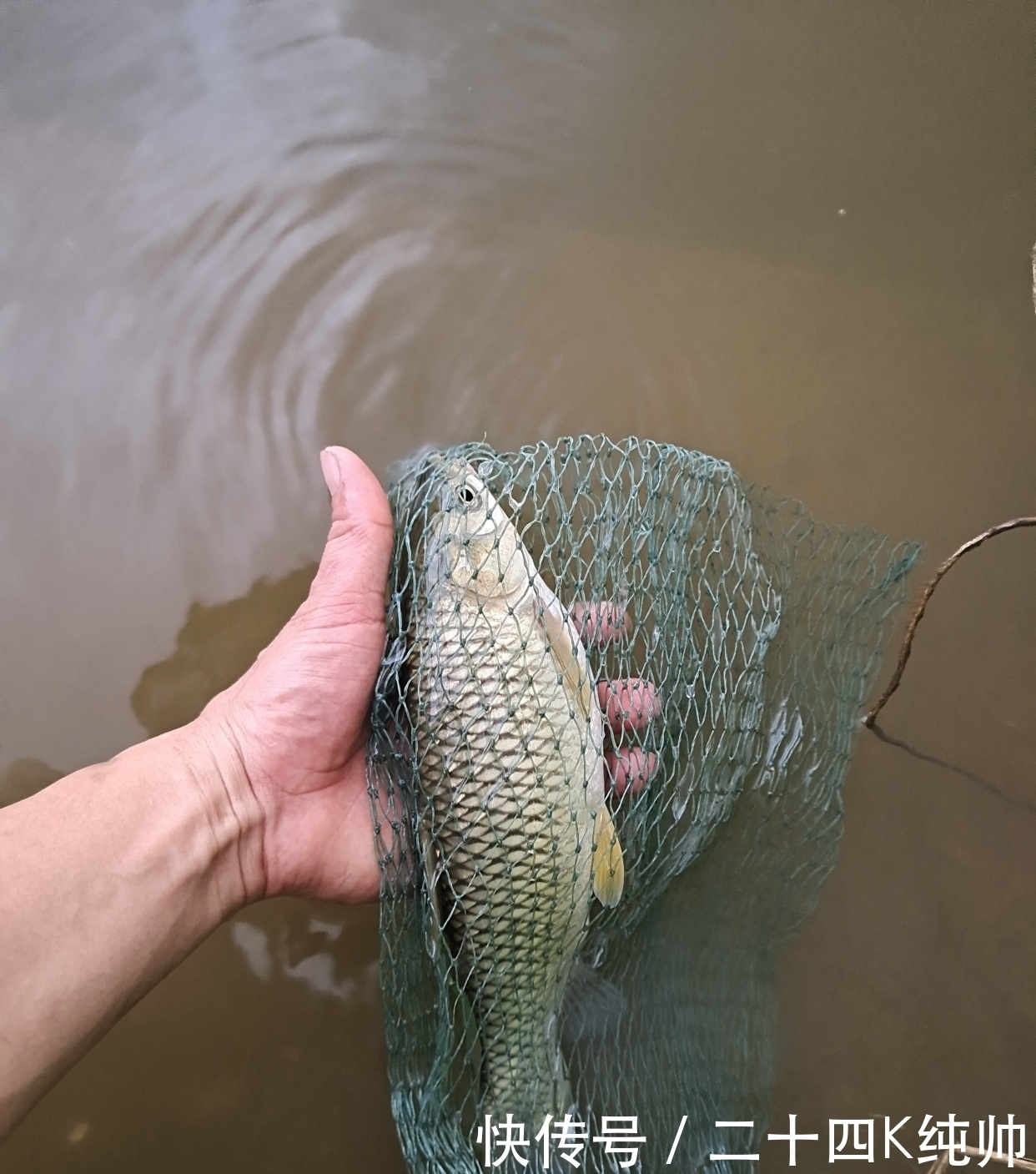 垂钓|在夏季垂钓开饵是关键点，关键点就在于饵料的状态，来了解下吧