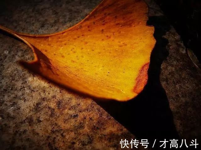 王贞白&千年来最有用的一句诗,短短7字,悟到了一辈子受益无穷!