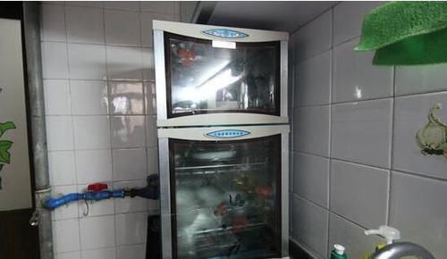 熟食|家庭妇女注意了：养好这6个厨房习惯，能让家人长寿十年