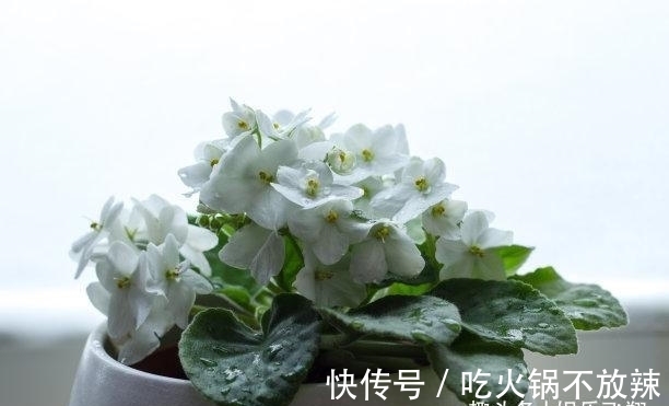 喜运|未来6天,桃花飞舞,钱财无忧,天降喜运,交出真心,多金多福