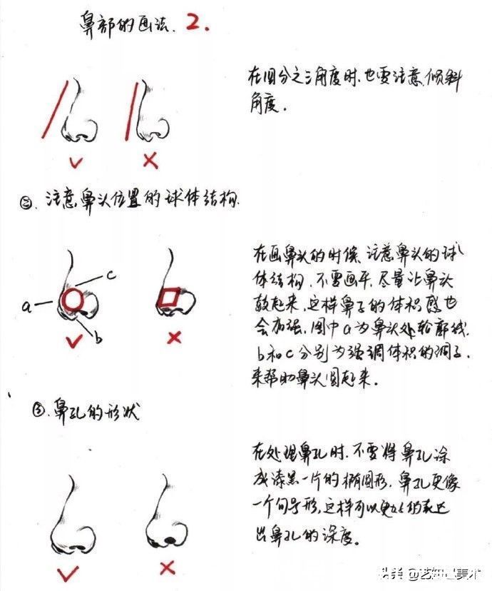 鼻子|速写头部总是掌握不了？让我一篇帮你搞定