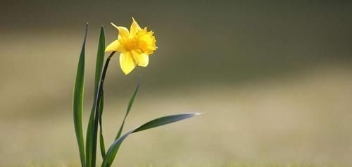 龙凤|出生在几点钟的孩子,是才子佳人,从小就优秀到大,是人中龙凤