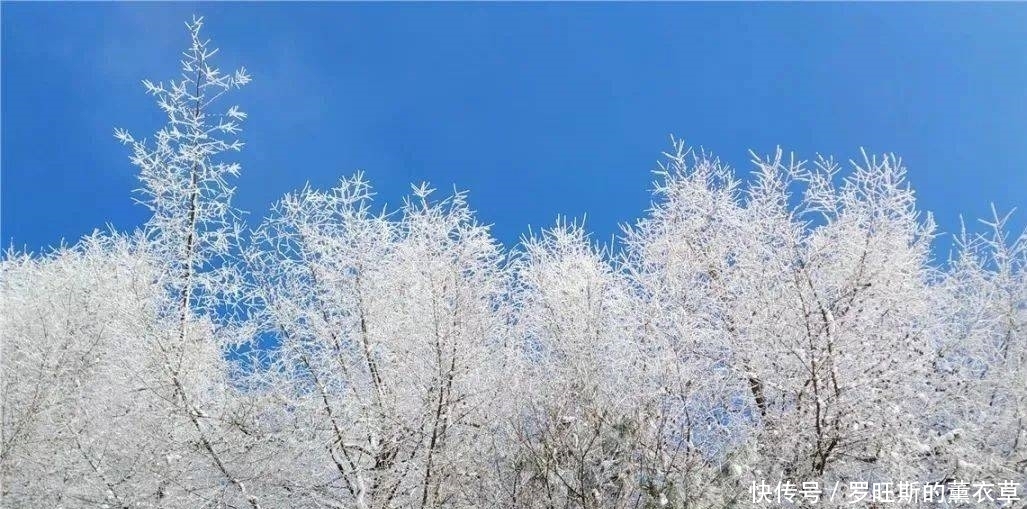 推荐丨来汉中这座慢节奏小城，邂逅一场浪漫的“风花雪月”~