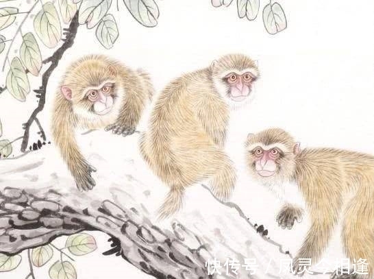 事业|熬到年前,财运高升,3大生肖苦尽甘来,事业发达,有钱又有权