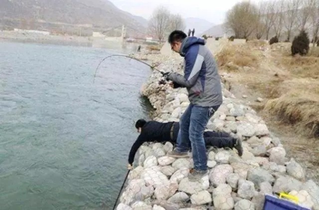 不必发愁怎么钓大板鲫,这3大冬钓秘诀,可能一直被你忽视!