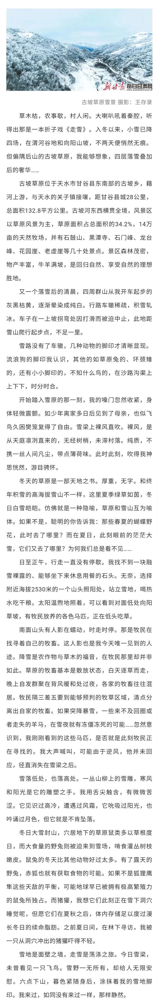 踏雪古坡草原