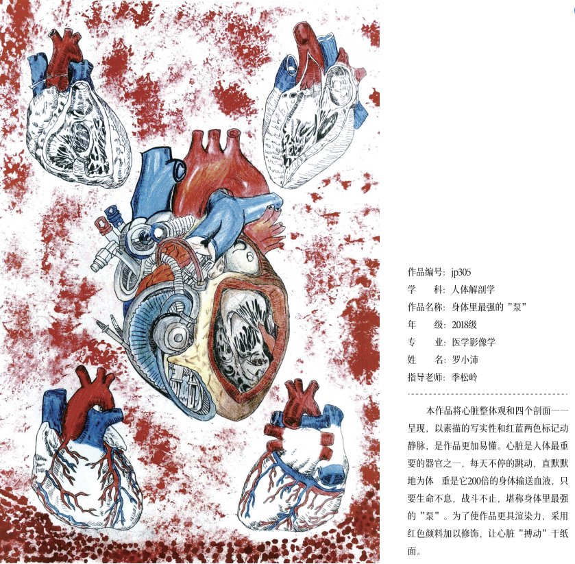 绘图@“医”笔生花！遵医学子医学绘图作品欣赏（6）