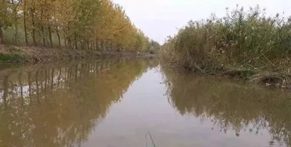 冬钓鲫鱼,牢记3钓、3不钓,精准找鱼,从不走空