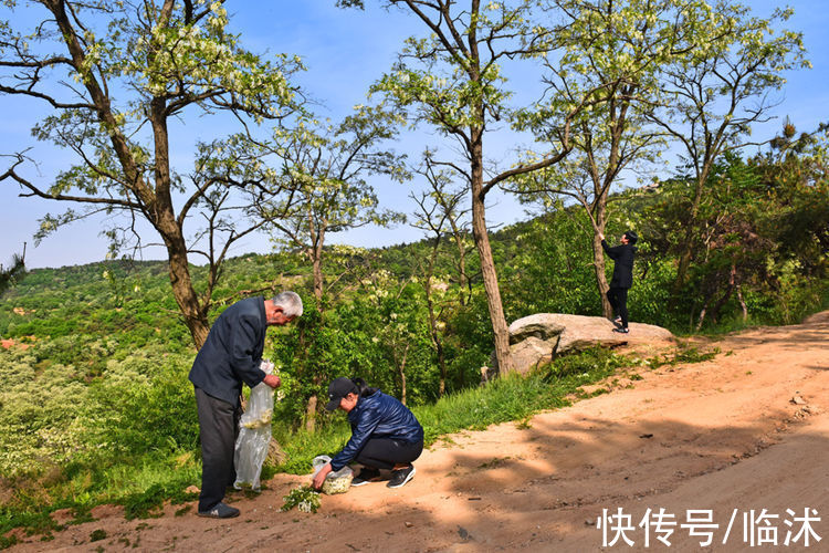 情定三生|美丽的苍马山