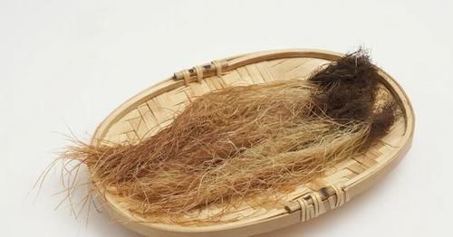  告诉|玉米须怎么喝才能降尿酸？本文来告诉你