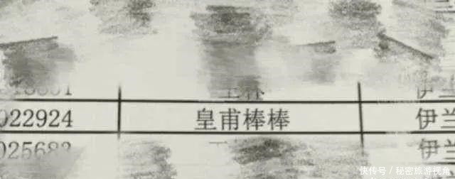 名字|爷爷叫魏炎爸爸叫魏寒，奶奶给孙子取的名，让孩子天天被老师点名