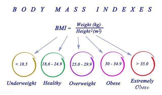 寿命|体重与人的寿命息息相关，年过60岁，该将体重控制在什么范围？