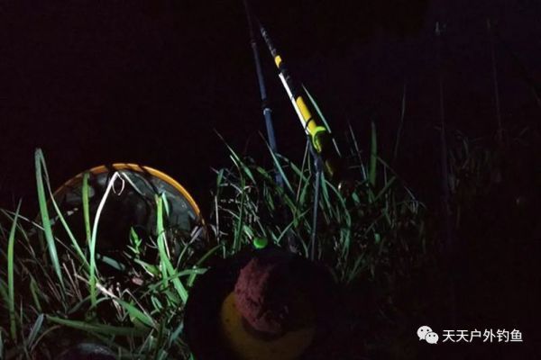 钓浮|夏季夜钓,天气、时段、钓位的选择技巧,这些是钓到鱼的基础!