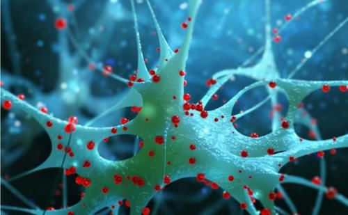 水煎包|女人若雌激素“枯竭”,4种问题接踵而来!想避免,牢记这些细节