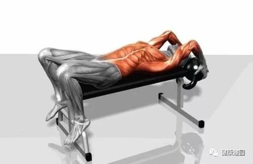 肱三头肌|肌肉群锻炼动作示意图，想练什么对号入座！