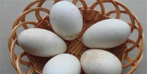  胶原蛋白|很有营养的3种食物，补充营养、延缓衰老，爱吃就赚了！