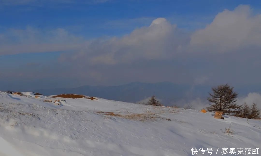 北国风光，雪域驼梁