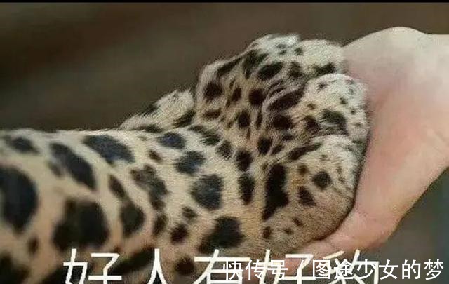 高浓度 国货护肤品崛起,到底值不值得买!