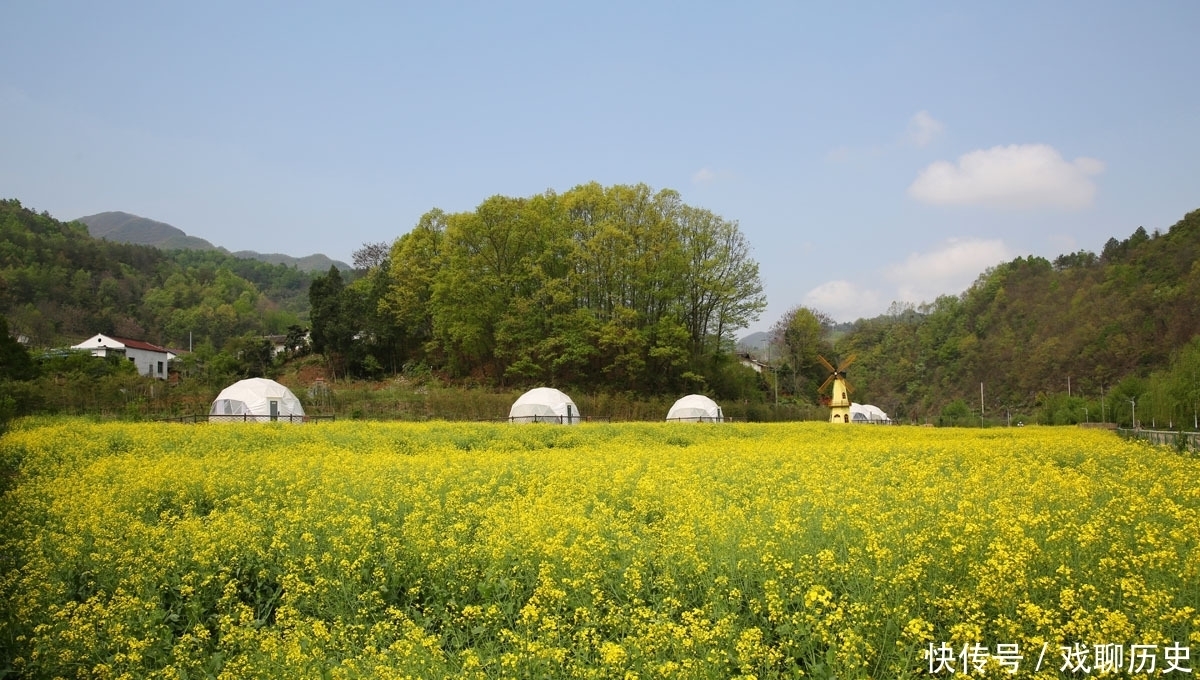 秦岭山村浪漫民宿：花海里的星空泡泡屋，乡间自然美景唯美迷人