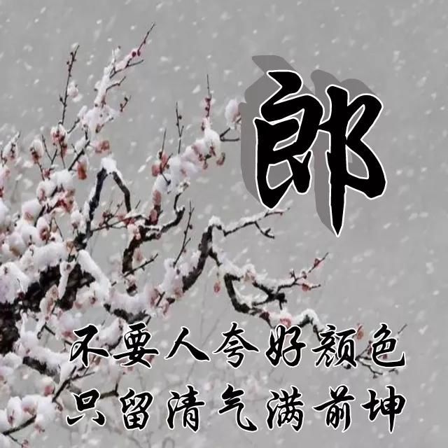  红梅|红梅花儿开，朵朵放光彩，千里冰霜脚下踩