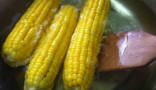 消化不良|脾虚是百病之源,六种食物换着吃,健胃补脾,养生或许不用吃药