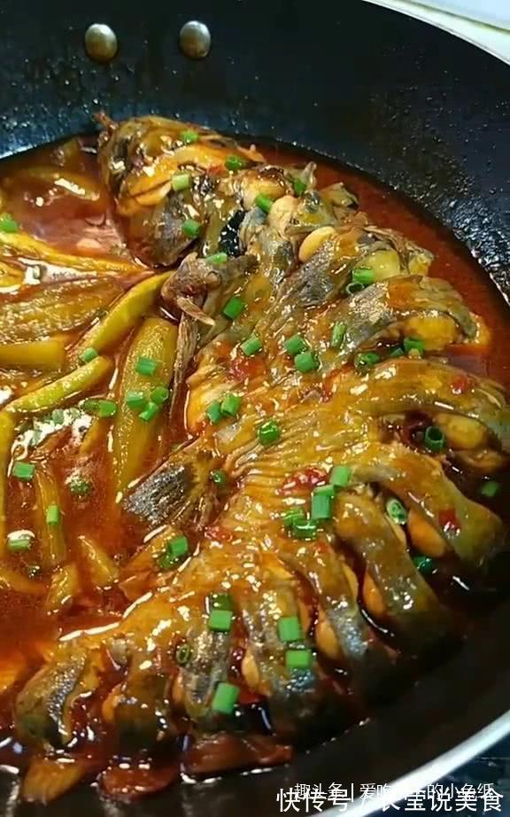 红烧鲢鱼,超级美味,简单实用,进来看一下