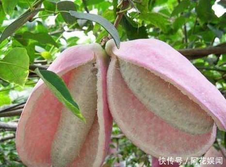 常吃|女生若不想变成黄脸婆，这3物要常吃，或腰不疼，子宫也健康了