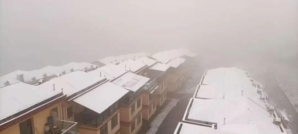 公园雪景|全世界都在瞒着观山湖下雪 观山湖的雪在哪啊啊啊啊？