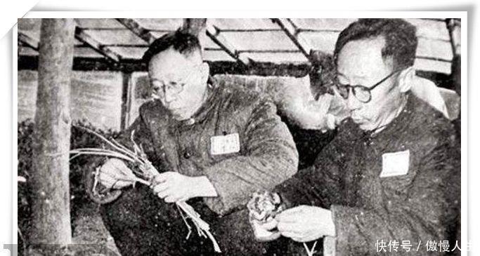 老照片|溥仪罕见的老照片，很多镜头都难得一见，也有他56岁的婚礼照片