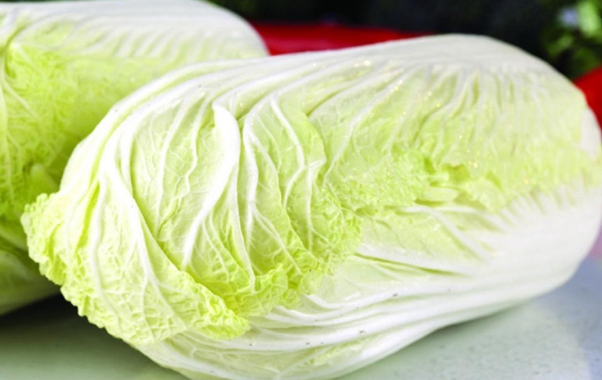 炖豆腐|白菜炖豆腐，到底先放豆腐还是放白菜很多人不清楚，难怪不好吃