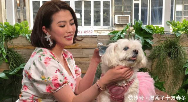 她曾火过袁咏仪,靠《寻秦记》成名却被雪藏20年,如今胖的认不出