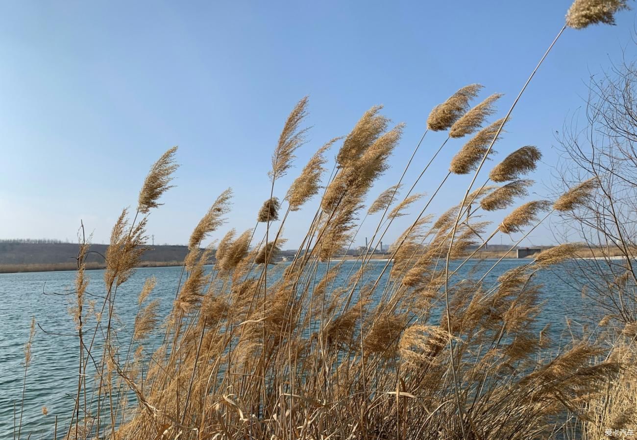 漂之冀游--傍水滹沱河