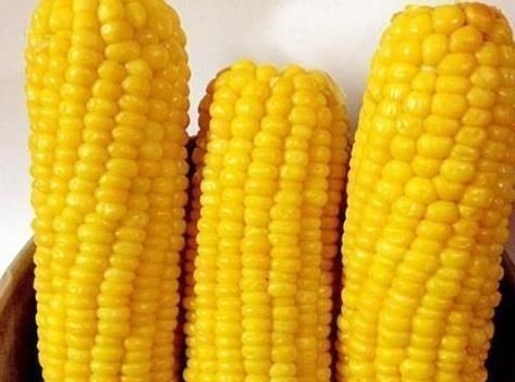 中老年人|每天吃1节玉米,坚持2周,3个好处收入囊中,后悔没早点吃!