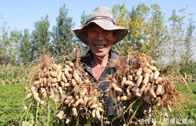 早衰|月经量越来越少,不妨多吃3种“零食”,子宫清净,早衰不来扰