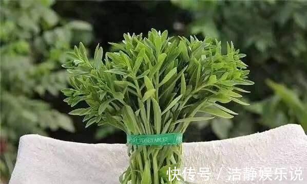 景菜|农村一野菜被称“救命菜”，人工种植价格高，一斤将近200多