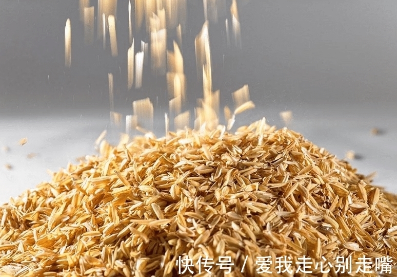 风水@刘伯温向农妇讨水喝,农妇故意撒了把谷壳,伯温感叹:她有大智慧