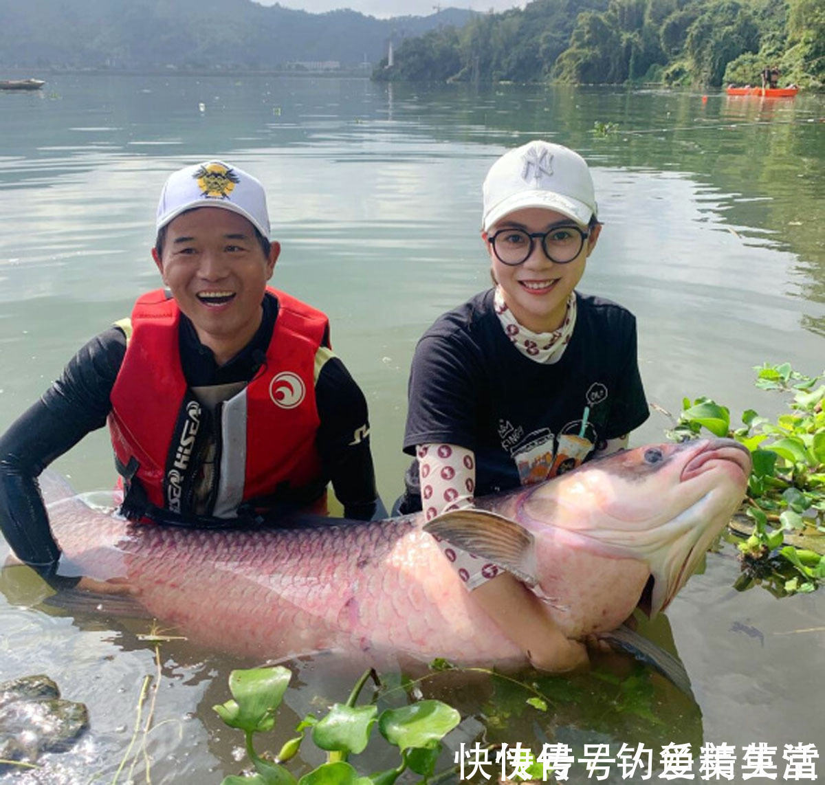 大师们|人怕出名鱼怕邓刚,因为“水库盘鱼塘老板”的视频走红